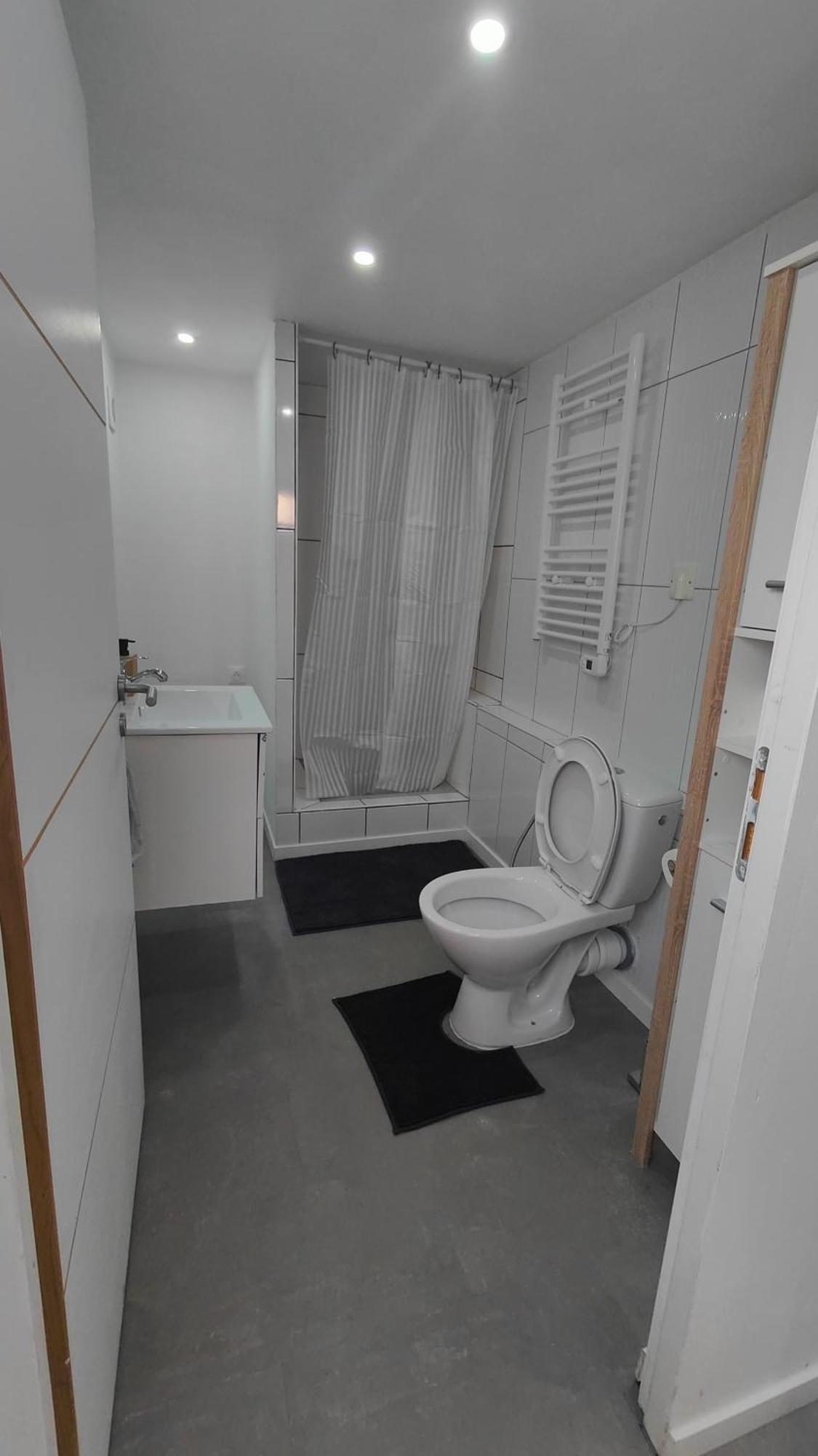 זלסטאט Bel Appartement F2 Entierement Renove מראה חיצוני תמונה
