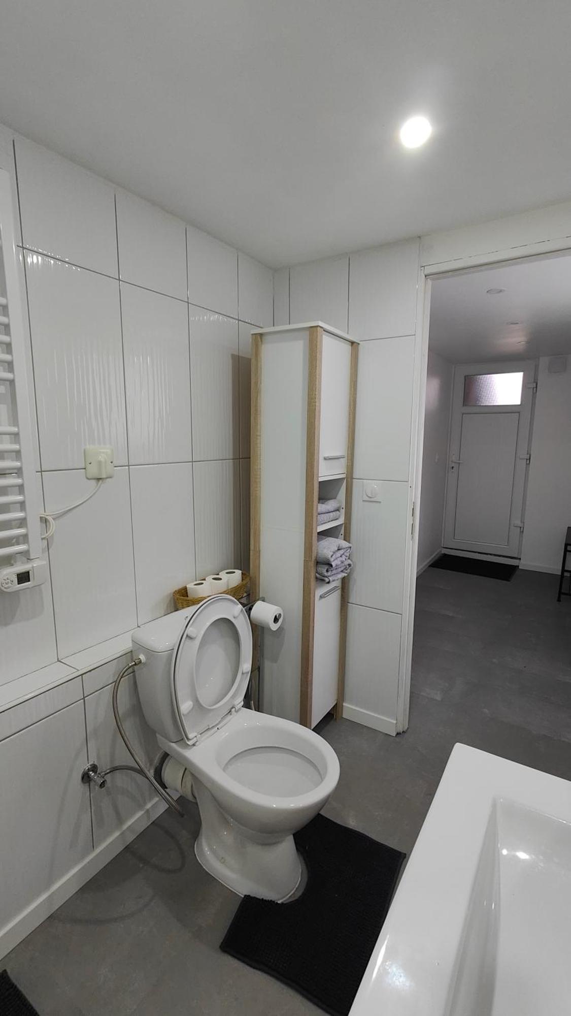 זלסטאט Bel Appartement F2 Entierement Renove מראה חיצוני תמונה